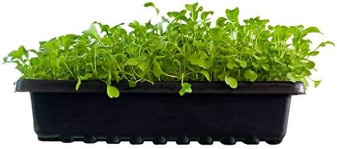 justLeaf Farms 1020 Trays - No Holes, 4 Pack, for Plant Propagation, Seed Starter, Seed Germination, Seedling Flat, Wheatgrass, Fodder, Microgreens