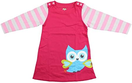 PLove Girl's 100% Cotton Crewneck Casual Long Sleeve Dress (2-3T, Pink/Owl)
