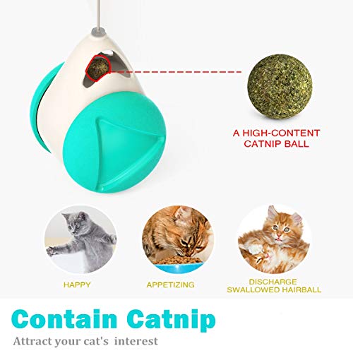 Interactive Cat Chasing Toys for Indoor Cats, Kitten Chaser Toys with