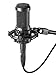 Audio-Technica AT2035 Cardioid Condenser Microphone Bundle with Boom Stand, Pop Filter, XLR Cable, and Austin Bazaar Polishing Cloth
