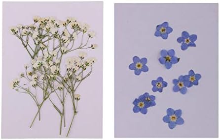 ドライフラワー ドライ葉 押し花 キャンドル Diy クラフトアクセサリー 石鹸 当店は最高な サービスを提供します 約個入り