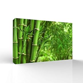Quiet Bamboo Grove Painting Wall Bedroom Living House