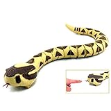 hss Halloween Radio Remote Control 30