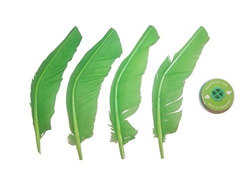 4 Hackibird+hacky+Great+children+adults