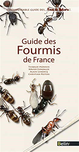 Guide des fourmis de France (French Edition) by Xavier Espalader, Alain Lenoir, Thibaud Monnin, Christian Peeters