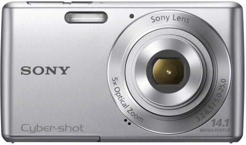 Sony Cyber Shot W800 Silver 20 1 Mp Digital Camera Newegg Com