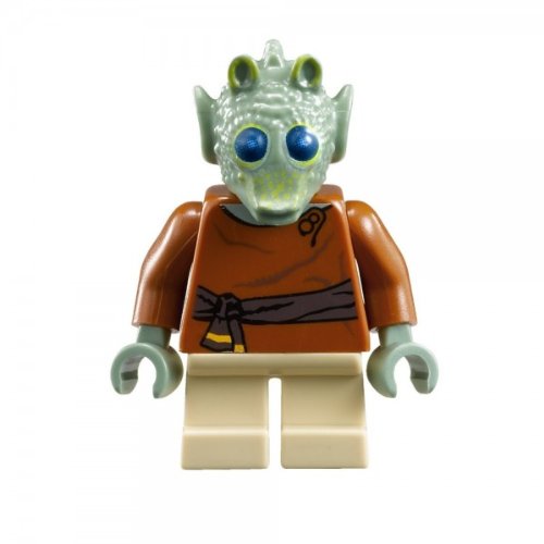 LEGO Star Wars: Wald Minifigure