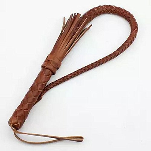 PANDA SUPERSTORE Intrepid International Riding Crop/Horse Whips, Brown