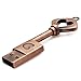 CHUYI Metal Heart Key Shape 1Pcs 16GB USB 2.0 Flash Drive Waterproof Pen Drive Memory Stick USB Flash Disk with Keychain Thumb Drive Gift