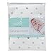 aden by aden + Anais Changing Pad Cover, Dove