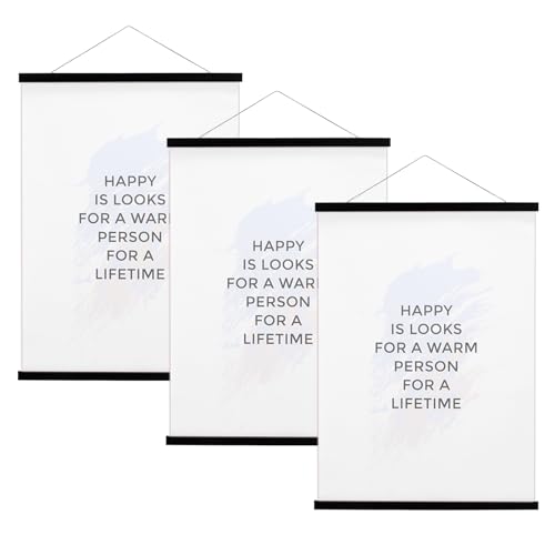 FALAMON 3 Pack Poster Hanger Frame, 13x19 13x18 13x17