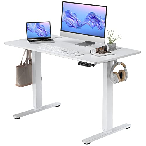 Standing Desk, 48 x 24 in Electric Height Adjustable Computer Desk Home