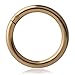 Ruifan 5PCS Stainless Steel Hinged Seamless Segment Hoop Septum Clicker Ring Lip Helix Tragus Cartilage Earrings Nose Rings Pirecing 16g 8mm (Steel+Black+Gold+Rose Gold+Rainbow)