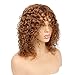 Goldfinch 100% Human Hair Wig Kinky Curly Wig with Bangs Fluffy Wavy Wig 150 Density 14 inches Brown Wig +Free Wig Cap