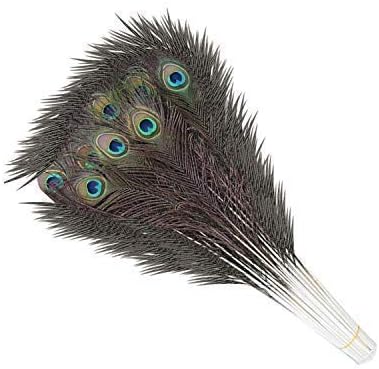 Trimming Shop Real Peacock Feather 27 inches