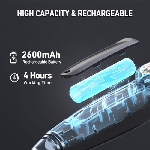 Ralcam Endoscope Camera with Light Endoscope Camera - Endoscope 6.2 mm Inspection Camera 4.3 Inch HD 720P Tube Camera, Cameras with 6 LEDs, IP67 Waterproof 2 m Flexible Channel Camera Telescopic Camera Car Tool