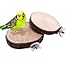 Prevue Hendryx Round Squirrel Parrot Bird Cage Perch Stand Platform Pet Bird Toythumb 1