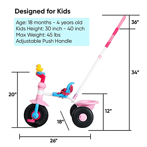 KRIDDO 2 in 1 Kids Tricycles Age 18 Month to 3 Years, Gift Toddler