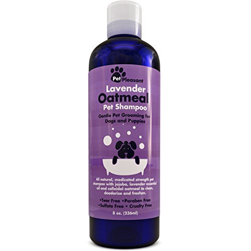 lavender dog shampoo