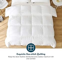 Oaken-Cat Feathers Down Comforter Twin