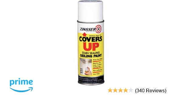 Zinnser 03688 Covers Up Stain Sealing Ceiling Paint White