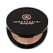 TraveT Beverly Hills Illuminator Brow Powder