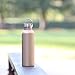 MIRA Alpine Stainless Steel Vacuum Insulated Water Bottle with 2 Lids - Keeps Water Cold for 24 Hours, Hot for 12 Hours - Hydro Bottle BPA-Free Cap, 25 oz (750 ml) - Champagne