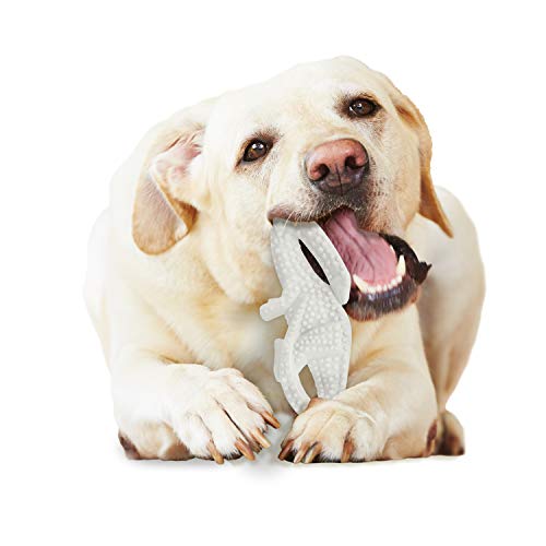 Nylabone Dura Chew Original Flavored Dental Dinosaur Chew Toy, Dinosaur Style Varies