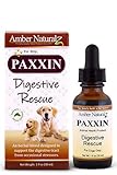 Amber Technology Paxxin Digestive & Immune Support for Dogs, 1 oz
