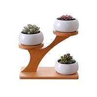 Succulent Flower Pot,FOME HOME 3pcs White Oblate Ceramic Pots with 3 Tier Bamboo Saucers Stand Holder Decorative Succulent Plant Pot Cactus Plant Pot Flower Pots Indoor for Office Garden Desk Home