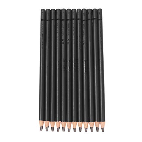 IPENNY 12 Pcs Drawing Pencils Set Sketching Artist Pencils for Artists Adults children,Soft/Medium/Hard Charcoal Pencils