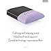 MALOUF Z Zoned Dough Memory Foam Infused with Real Lavender Oil-12 Inch x 16 Inch Travel Size Aromatherapy Pillow, Dorm Room Essentials