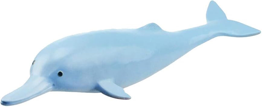 Amazon Co Jp 教育モデル動物解剖モデル 白いイルカ医療解剖モデル海洋生物解剖モデル 研究表示教育モード ラボ機器用 スポーツ アウトドア