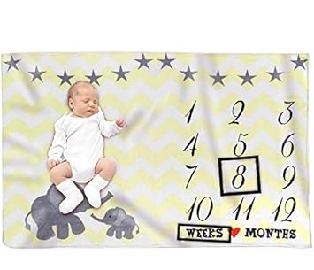 personalized baby monthly milestone blanket