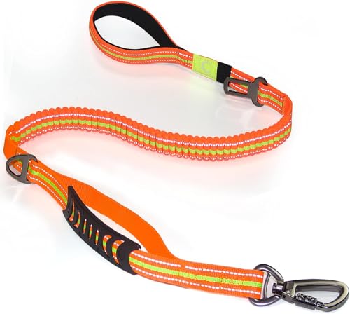 Bungee Dog Leash Locking Carabiner