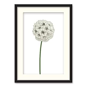 Black Framed Canvas Wall Art Nordic Style Plant Home Artwork Decoration for Living Room, Bedroom - 23x31 inches