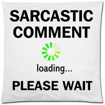 VintaStore Funny Sarcasm Comment Still Loading Please Wait Special Design Square Chic Pillowcases Soft Nice Pillow Cover Throw Pillow Cases 18x18inch