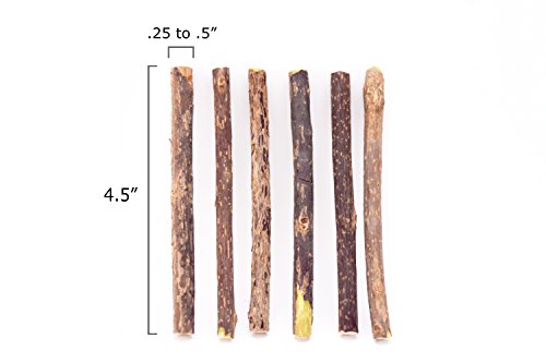 CatTwig Silver Vine Sticks | Original Catnip Alternative Chew Toy | All Natural Matatabi Silvervine  - //coolthings.us