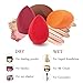 Makeup Blender Sponge Set - 4 Pack Latex Free Q-Soft Makeup Beauty Foundation Blending Sponge Flawless Smooth Brush for Liquid Foundation BB Creams Powders Concealer (4 Pack)