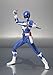 TAMASHII NATIONS Bandai S.H. Figuarts Mighty Morphin Blue Ranger Mighty Morhin Power Rangers Action Figure