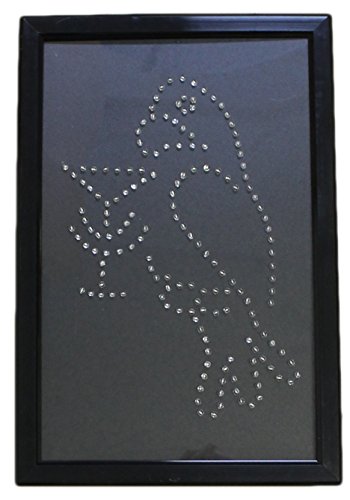 12 Inch by 18 Inch Parrot With Cocktail LED Sign by Wii