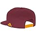 NBA Cleveland Cavaliers Men's Tail Sweep Flat Brim Snapback Hat, Burgundy, One Size