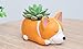 Cuteforyou Cute Animal Shaped Cartoon Home Decoration Succulent Vase Flower Pots (Plant Not Included)
