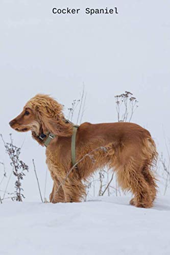 Cocker Spaniel: Small lined Cocker Spaniel notebook - Travel Journal to write in - 120 pages - 6"x9"