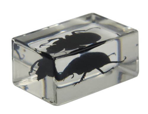 2 Celestron+44407+Specimen+Black+Yellow