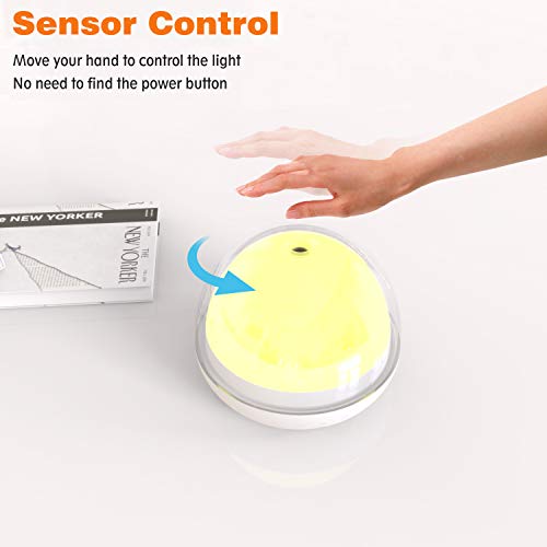 Table Lamp, Touch Sensor Bedside Lamps Dimmable Night Light with Color Changing RGB for Bedroom/Living Room/Office/Outdoor, (White/Warm White, Color Temperature 2700K-6500K)