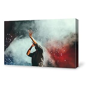 Canvas Wall Art Music Festival Canvas Painting Wall Decor for Living Room Framed Home Decorations - 12x18 inches