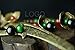 Enjoydeal Women Hairpin Vintage Hair Stick with Copper Made Flowers and Stone Beads