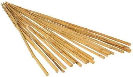 Amazon.com : HORT Natural Bamboo Stakes - 6 Foot Long Bamboo Stakes, 12
