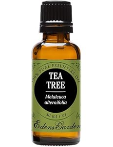 Tea Tree (Melaleuca) 100% Pure Therapeutic Grade Essential...